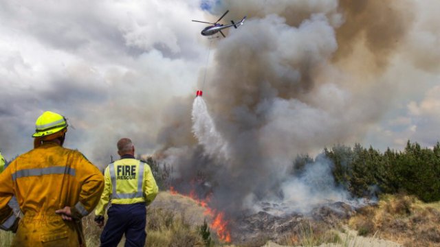 NZFire