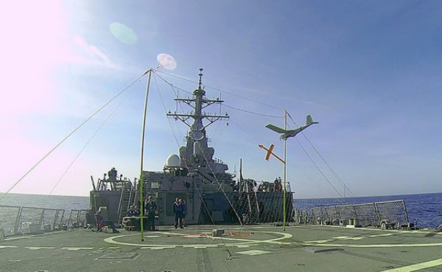 Puma Landing