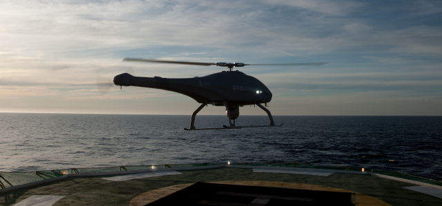 Skeldar