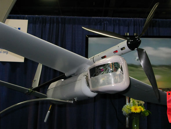 skylark1le