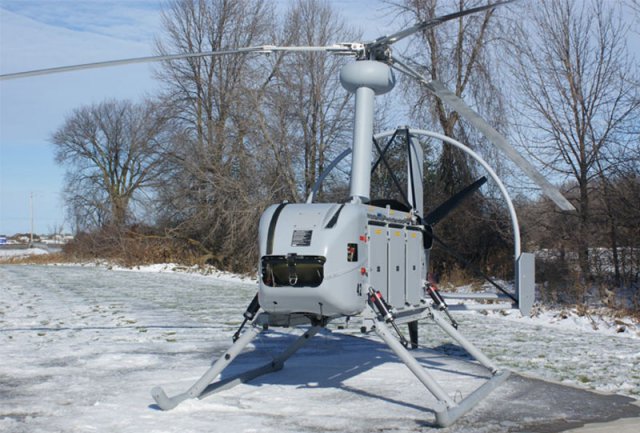 snowguse_large