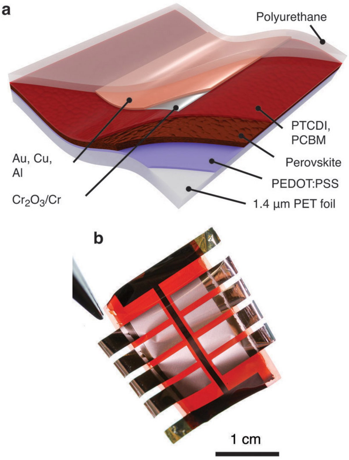 Figure 1. (a) Schematic illustration of the cell stack. Polyethylene terephthalate (PET) foils (1.4μm thick) serve as the substrate and poly(3,4-ethylenedioxythiophene) polystyrene sulfonate (PEDOT:PSS) is the transparent hole-selective electrode. Using dimethyl sulfoxide as an additive promotes the formation of pinhole-free perovskite layers. A one-step solution precursor deposition method is used to form the methylammonium lead iodide absorber. Perylene-3,4,9,10-tetracarboxylic-3,4,9,10-diimide (PTCDI) or [6,6]-phenyl-C61-butyric acid methyl ester (PCBM) constitute the electron-transport layers. The chromium (Cr) oxide (Cr2O3) stabilizes the metal top contact so that the device can be operated in ambient air. Low-resistivity metals, e.g., gold (Au), copper (Cu), and aluminum (Al), complete the device, and a 1μm-thick capping layer of polyurethane is used for mechanical protection. (b) Photograph of freestanding 3μm-thick solar cells (with copper top-metal contacts).5