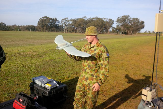 Wasp_AE_Australia_BW