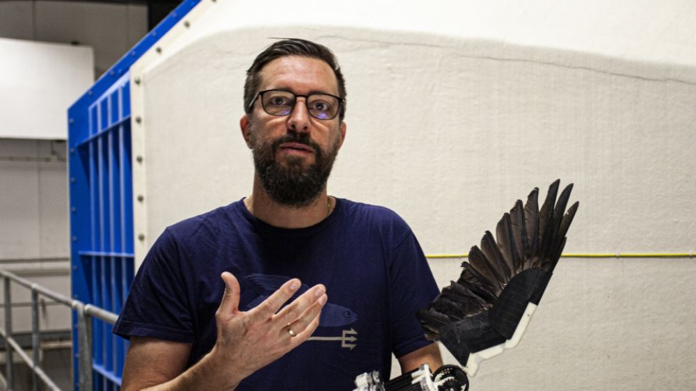 Feathered Robotic Wing Paves Way for Flapping Drones
