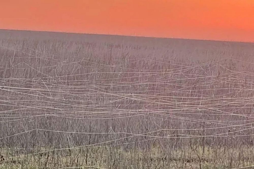 Ukrainian War Zone Field Covered with Fiber Optic Cables