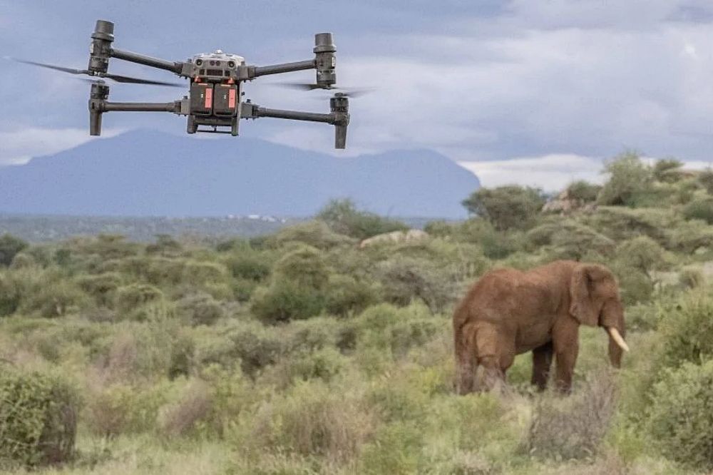 Drones are a Valuable Ally in Elephant Conservation