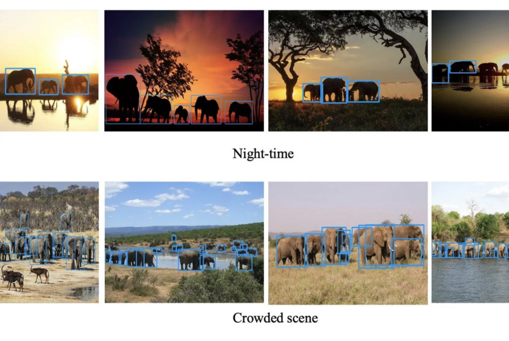 AI-Powered Drone Technology Aids Elephant Conservation