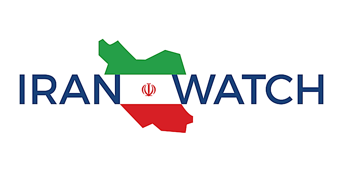 Table of Iran's Drone Fleet