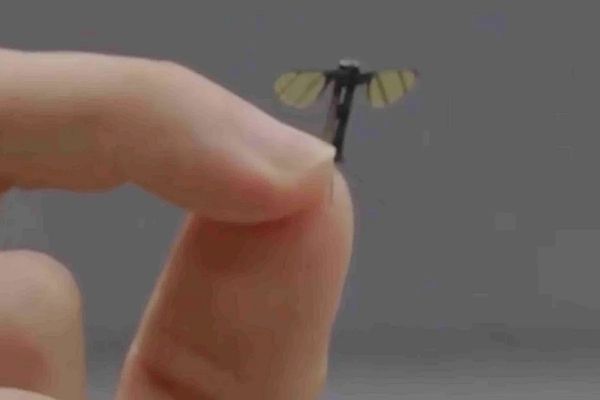 Chinese Military Robotics Lab Creates Mosquito-Sized Microdrone for Covert Operations