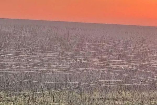 Ukrainian War Zone Field Covered with Fiber Optic Cables