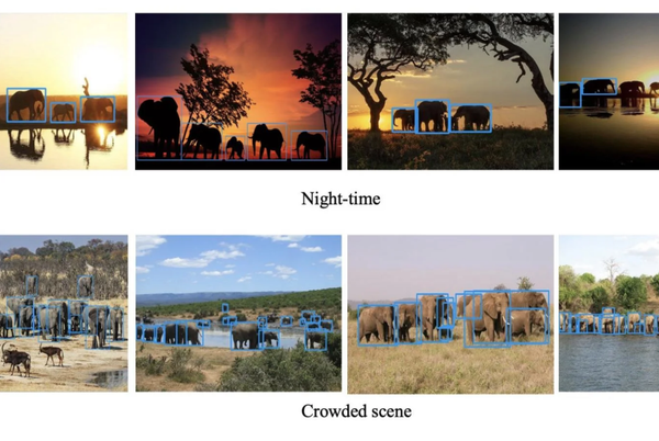 AI-Powered Drone Technology Aids Elephant Conservation