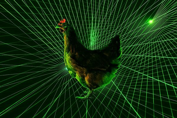 Japanese Tech Giant Deploys Laser Drones to Protect Chickens Against Avian Flu
