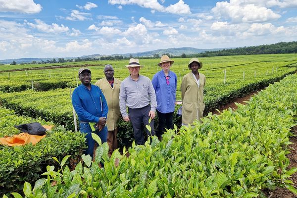 Cranfield University and Lipton Teas Use Drones in Sustainability Drive
