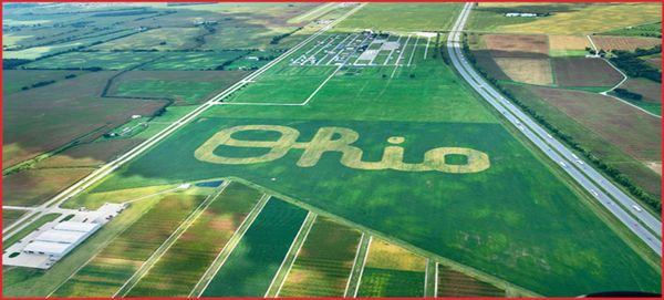 5 Advantages & 5 Disadvantages for Using Drones to Seed Cover Crops