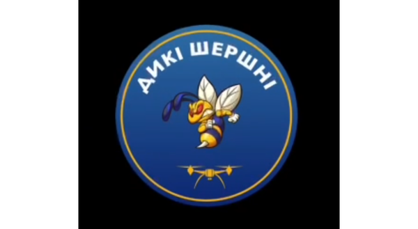 Wild Hornets: Ukraine’s Tiny Armour-Busting, Trench-Clearing Secret Weapon