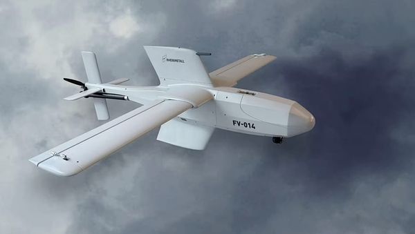 Rheinmetall Gets Multi-Billion Loitering Munition Contract from German Army