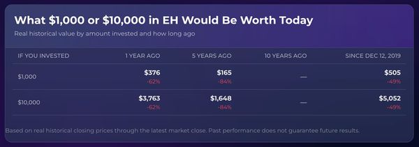 If You Invested in Ehang Holdings Ltd ?