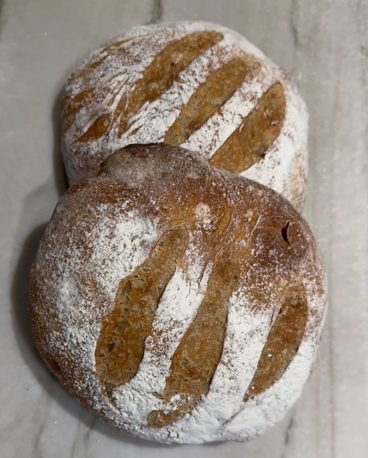 The Bread Also Rises (Most of the Time)