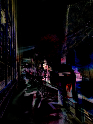 nightwalks