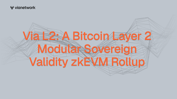Via L2: A Bitcoin Layer 2 Modular Sovereign Validity zkEVM Rollup