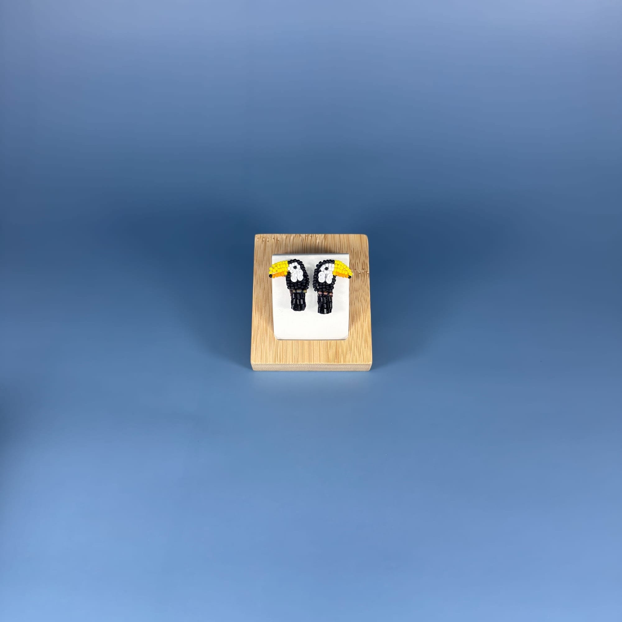 Image of the stud earrings on the background.