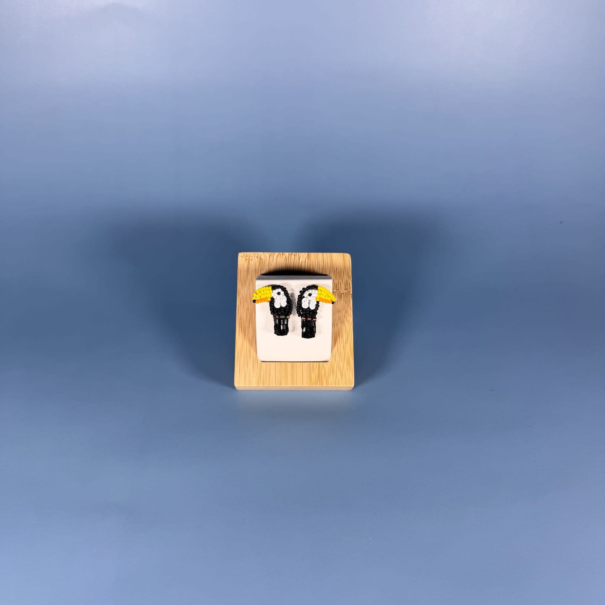 Image of the stud earrings on the background.