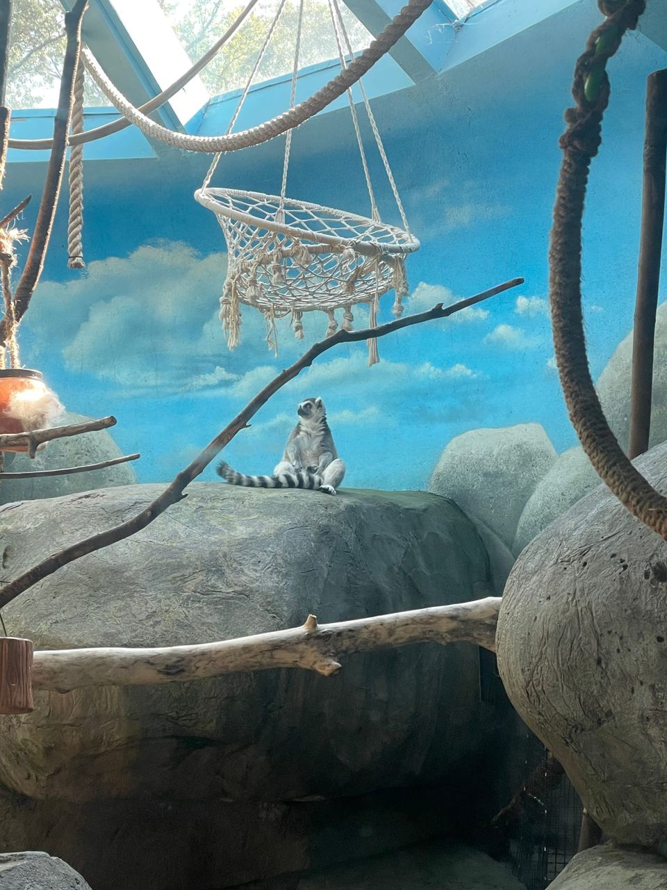 Aesthetic Enthusiasm