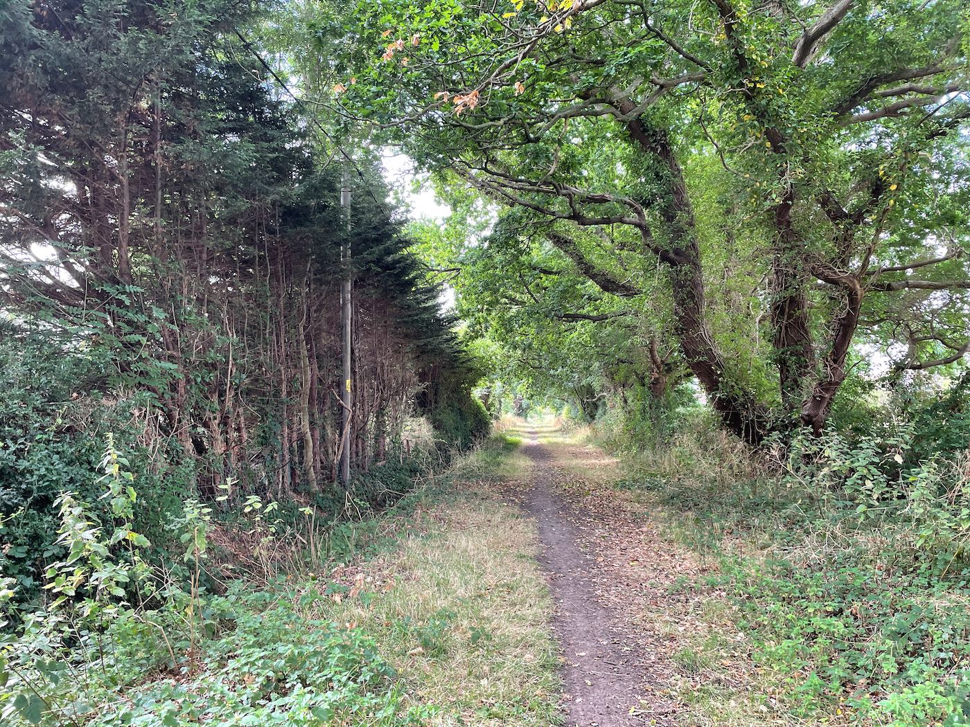 Footpath across Mornings Mill Farm