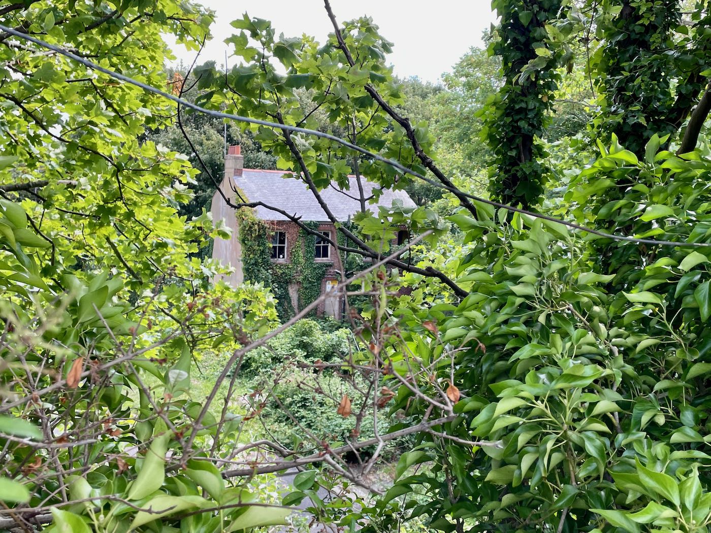 Abandoned cottages in Ocklynge Chalk Pit Eastbourne
