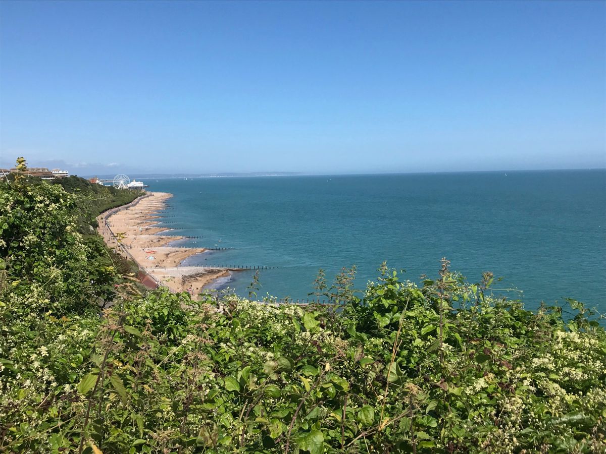 'Water companies have been getting away with blue murder'