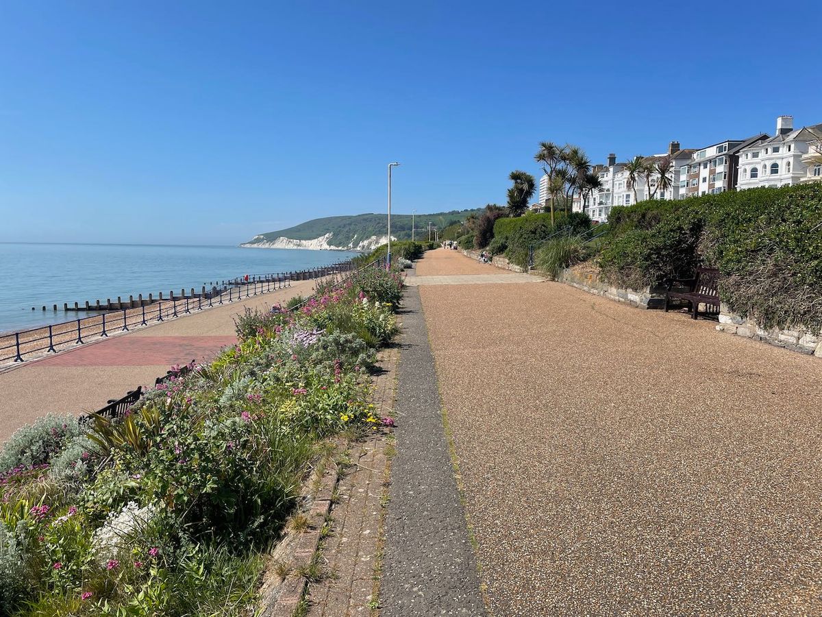 Why I started the Eastbourne Reporter - and how you can help