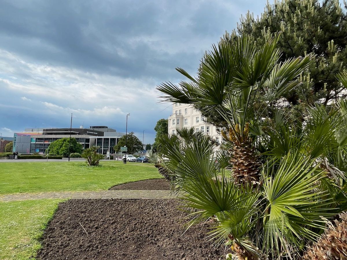 'I have never seen such blatant misuse of public areas: you can hear the drug deals taking place'