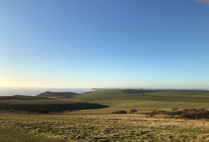 The Black Robin Farm project