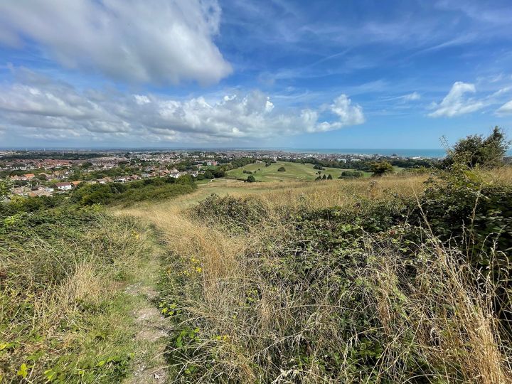Why chalk grasslands are so important for all of us