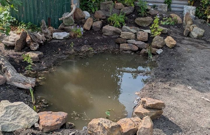 How to create a wildlife pond in three hours