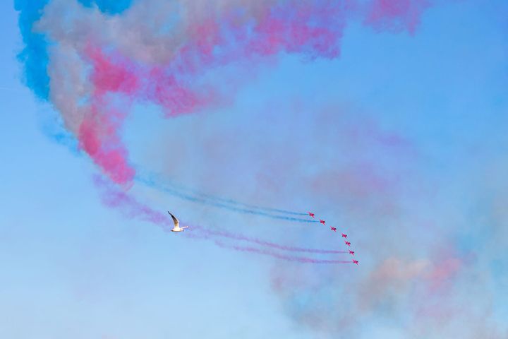 Showcase your organisation here