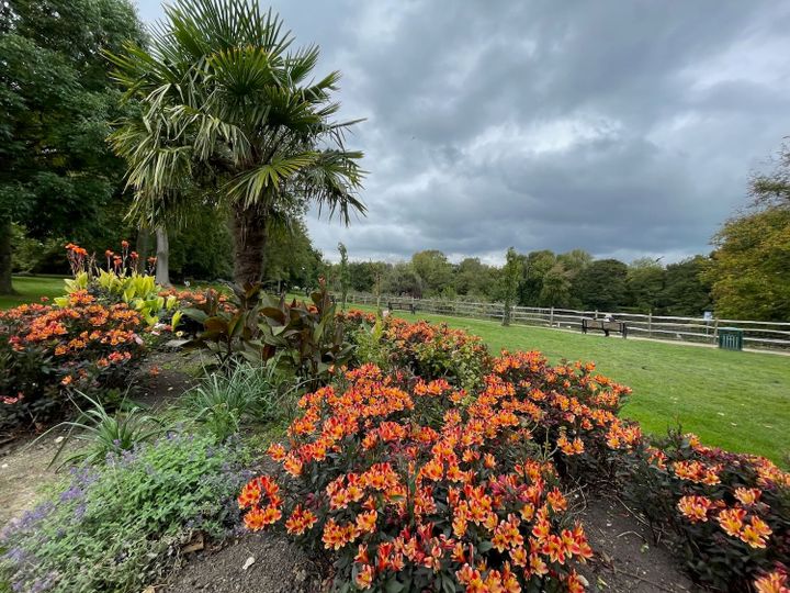 A cherished oasis in a busy town