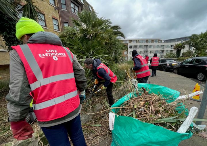 How change starts ... with a single flowerbed
