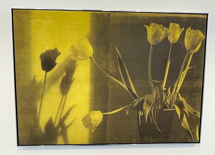 REVIEW: Poppy Jones /  Frozen Sun