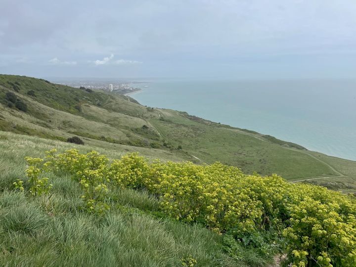 A fresh look at the glories of Beachy Head