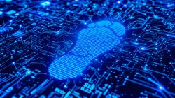 Footprint SEO : comment protéger votre site des sanctions algorithmiques