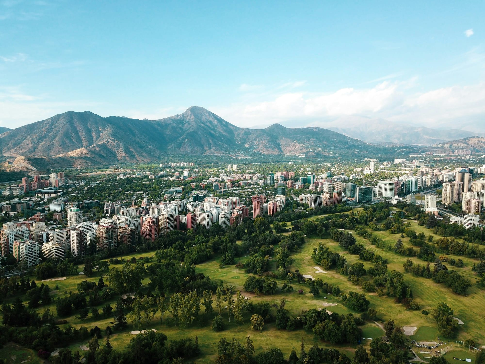 Strauses In Chile