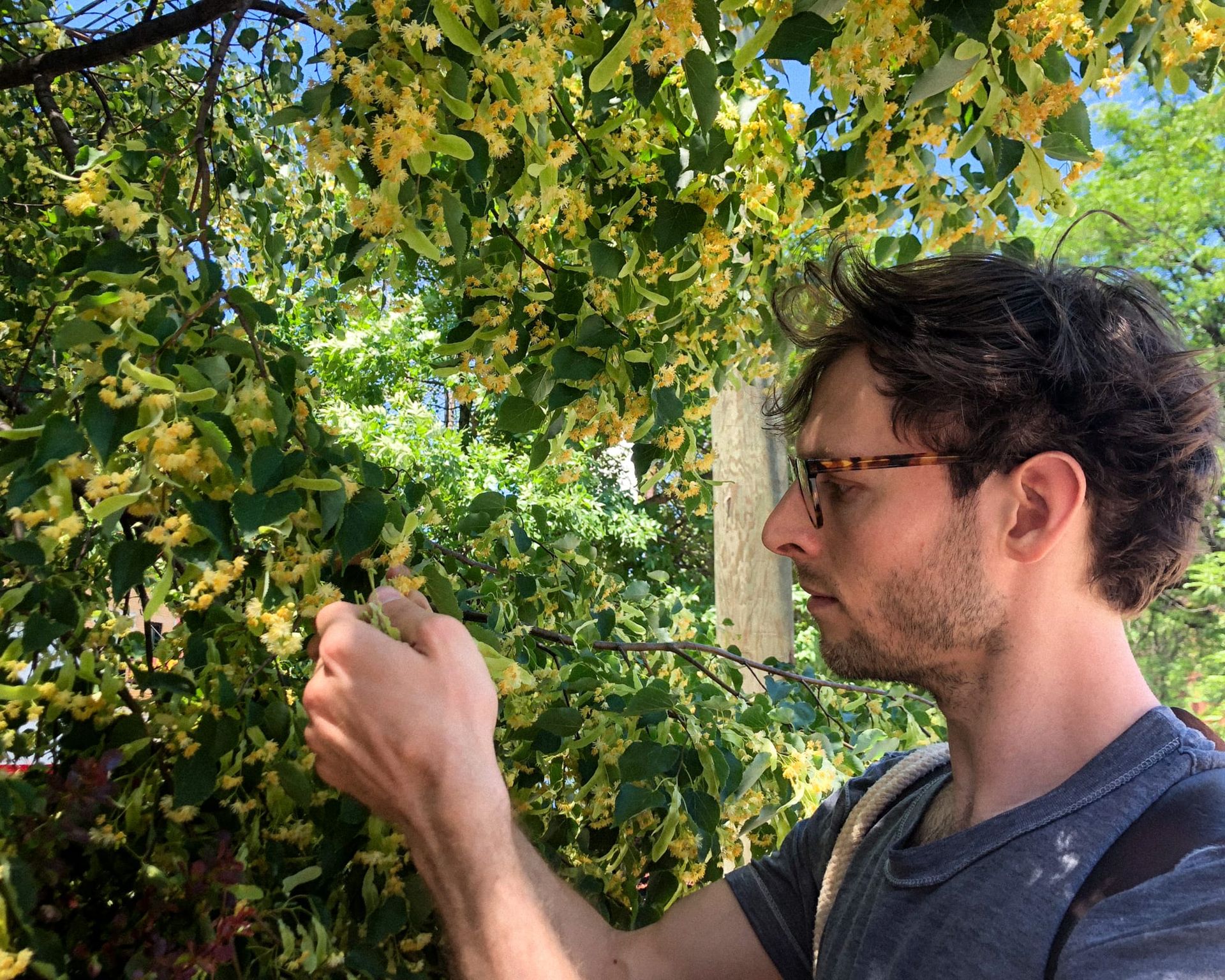 Foraging Tips + Tools