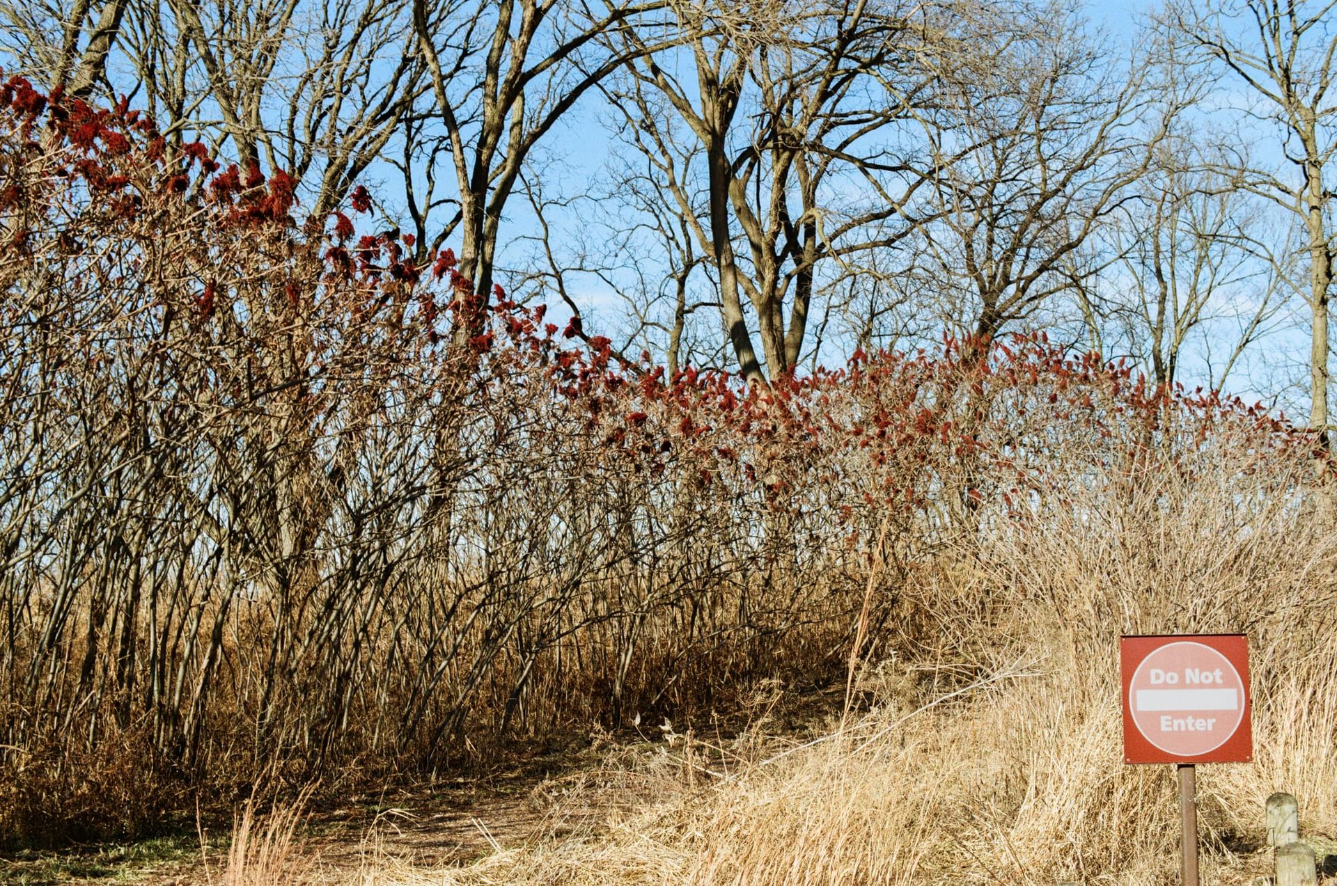 Friction and Resistance at the Beginning