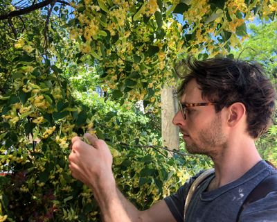 Foraging Tips + Tools