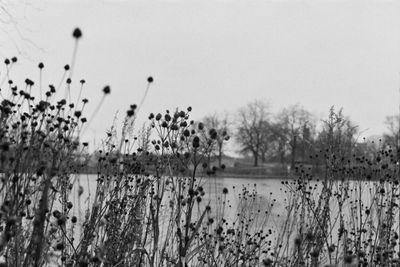 Resisting the Grind: Thoughts on 'Grind Culture' and Cultivating Presence