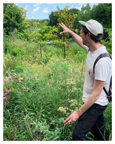 Bioregional Herbalism