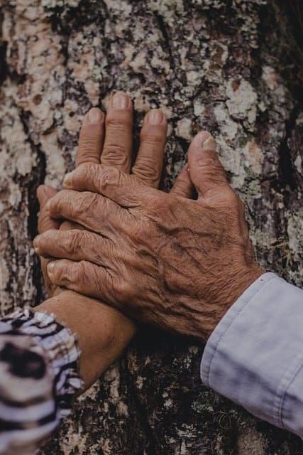 How Can the Couples Therapist in Aiville Help Couples with Problems?