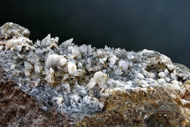 Silicon vs Carbon: The Rise of On-Device Small Language Models