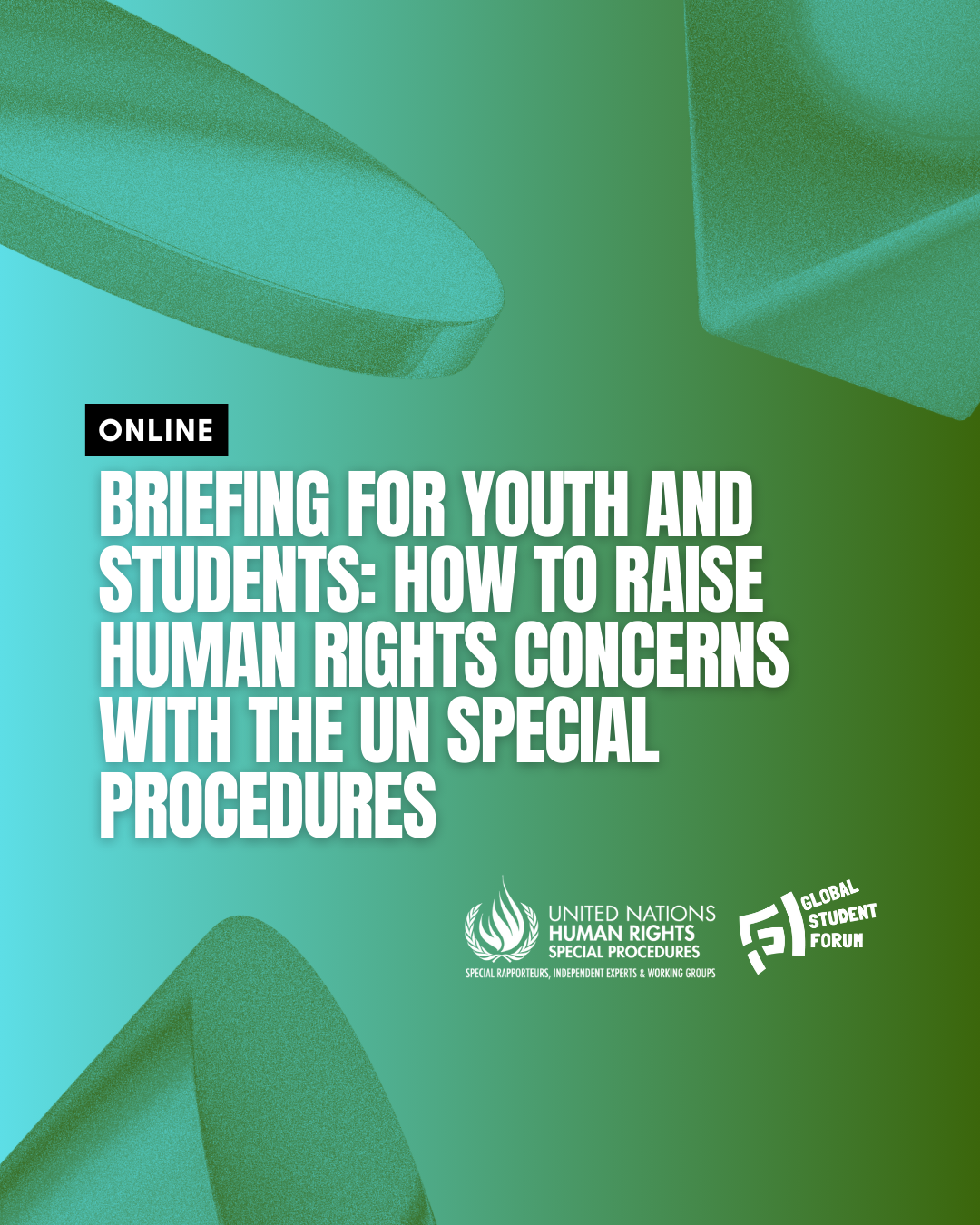 Briefing for Youth and Students: How to raise human rights concerns with the UN Special Procedures - Online information session post image
